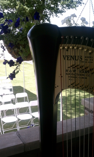 Freeport Illinois Wedding Music Harpist