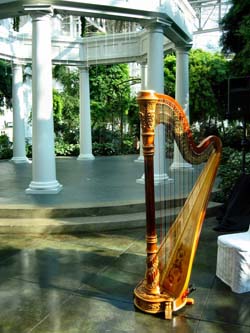 Nashville Harpist for Weddings