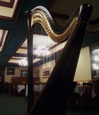 Harpist for Events in Detroit