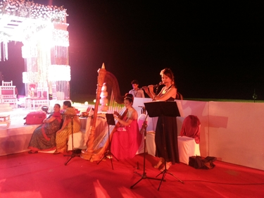 International Harpist for a Wedding at lalit