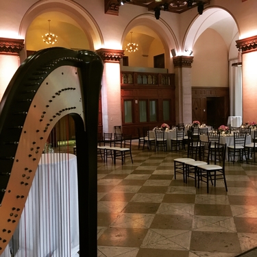 Grand Rapids Harpist for Weddings and Receptions