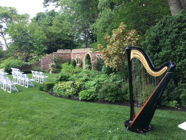 Harp Player Northwest Indiana