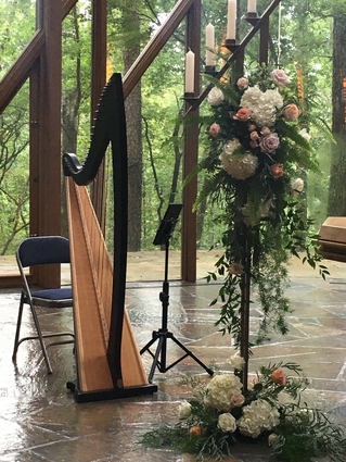 Harp Player Hot Springs AR Wedding Music