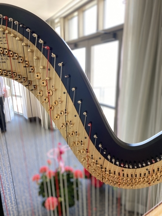 Harpist for East TN Weddings in Johnson City