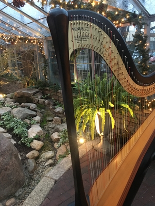 Wedding Harpist Champaign Urbana