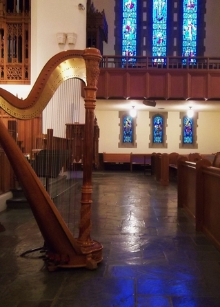 Harpist in Chicago - Wedding Ceremony Musicians