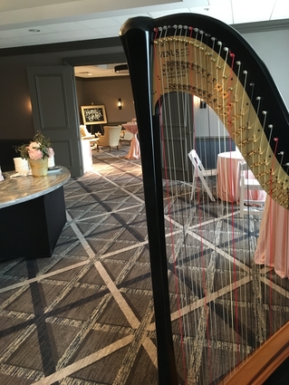 Chicago Harpist - Live Music for a Wedding in Chicago