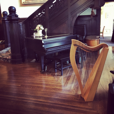 Celtic Wedding Music Indianapolis Harpist