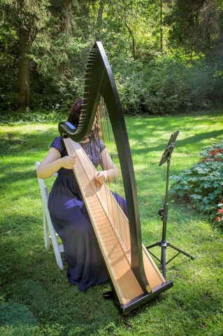 Troubadour Lever Harp