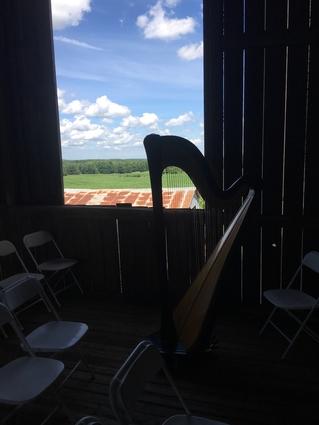 Northern WI Wedding Harpist