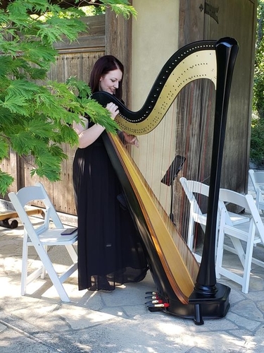 Harpist Rockford IL Wedding Musician