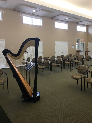 Harpist for Events in Central Illinois