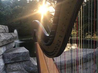 Harpist Springfield Illinois