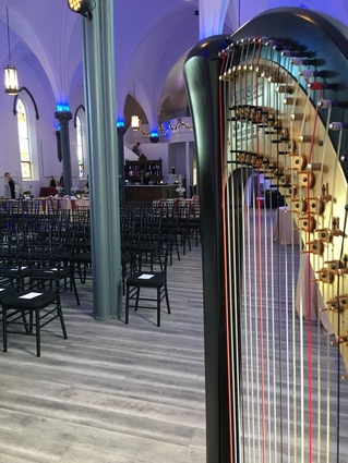 St. Louis Harpist Wedding Music