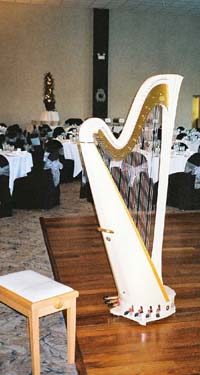 Heston Hills Wedding Reception Harp Music