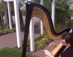 Northern Indiana Harp Musician