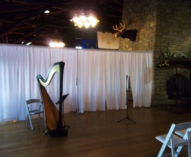 Northern Illinois Wedding Harp Player