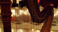 Harp Music for a Vow Renewal Ceremony