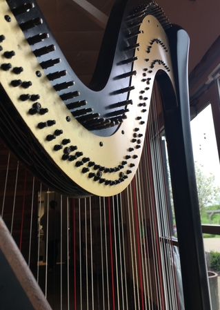 Harpist in zionsville
