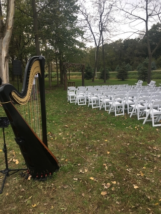 iowa city Wedding Harpist