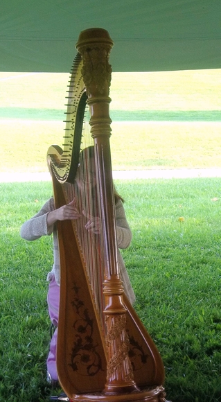 Southern Ohio Wedding Harpist - Winery at Camba