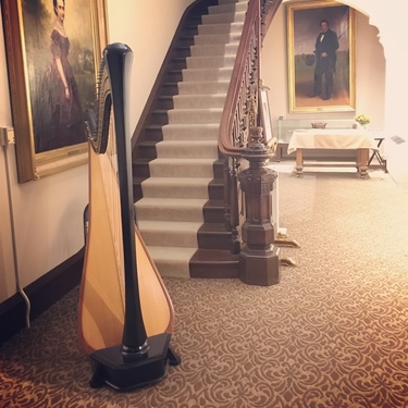 Harpist for an Art Opening Illinois