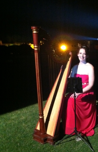 International Harpist for a Party at Umaid Bhawan Palace