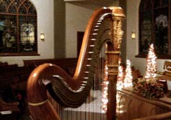 New Harmony Indiana Harpist for Weddings