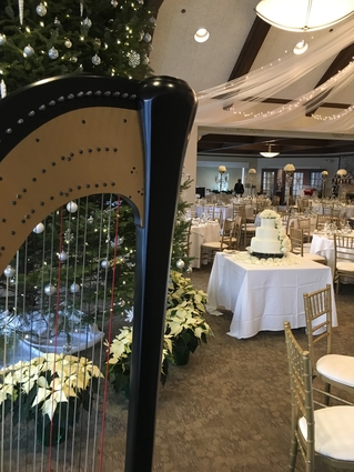 Kalamazoo Wedding Reception Music on the Harp