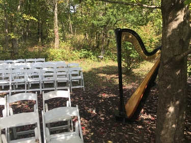 Wedding Harpist Movies