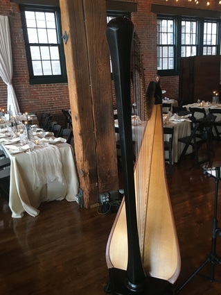Kansas City Harpist for Weddings