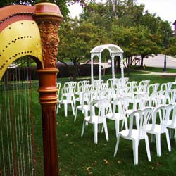 Michigan Wedding Harpist Battle Creek