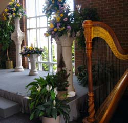 Grand Rapids Wedding Harpist