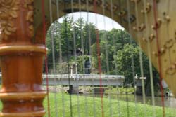 Rockford Wedding Harpist for Outdoor Ceremony