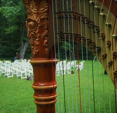 Southwest Lower Michigan Wedding Harpist