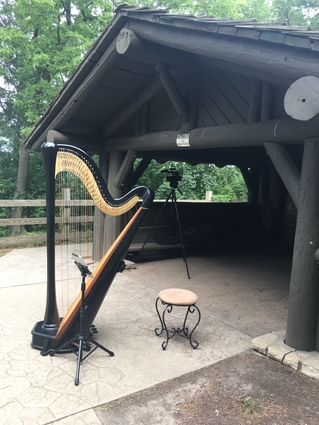Wedding at Starved Rock State Park - Harpist for Ceremony Music