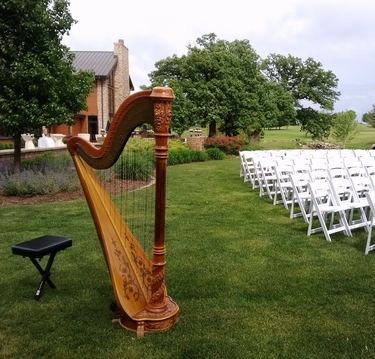 Northern Illinois Wedding Harpist