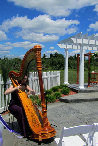 Louisville Kentucky Wedding Harpist