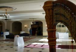 Detroit Wedding Reception Music Harpist