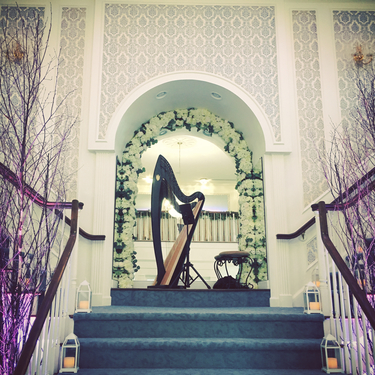 Madison WI Wedding Harpist