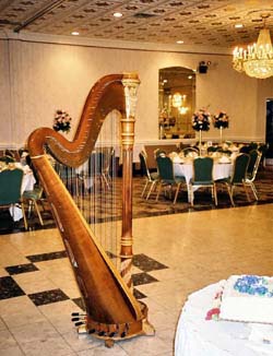 Harpist for Parties in Chicago