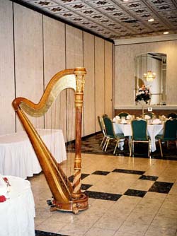 Chicago Harpist for Hire