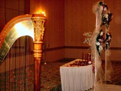 Chicago Harp Player Wedding Musician