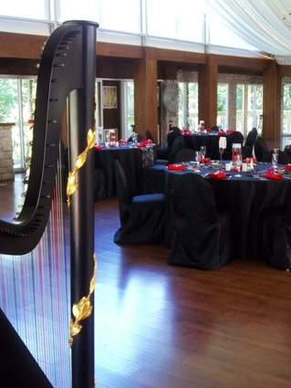 Northwest Indiana Wedding Reception Harpist