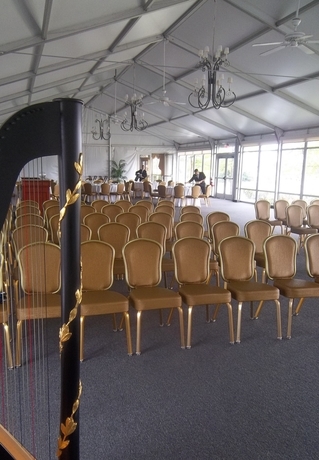Milwaukee Wedding Harpist