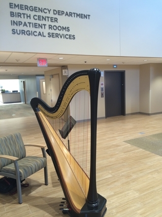 Minneapolis Harpist for Corporate Entertainment