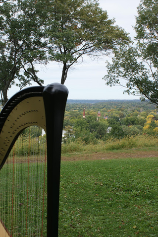Minneapolis-St. Paul Wedding Harpist