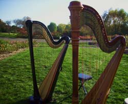 Twin Cities Wedding Harpist