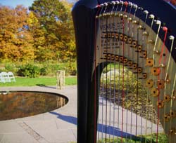 Minneapolis Wedding Harpist