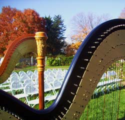 Minneapolis Wedding Ceremony Musician Harp